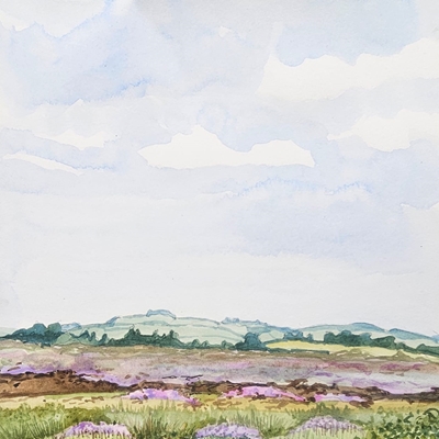 Painting en plein air at Killyconny Bog (Saturday)
