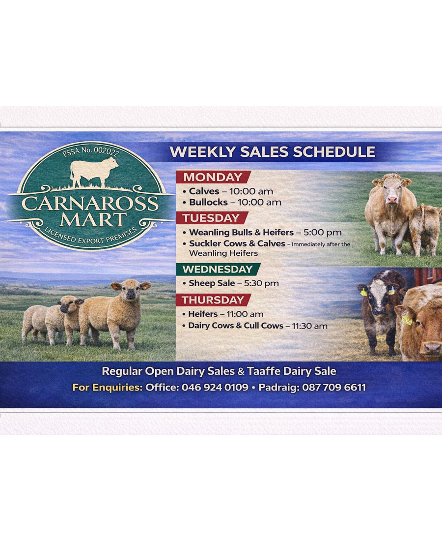 Carnaross Mart ad